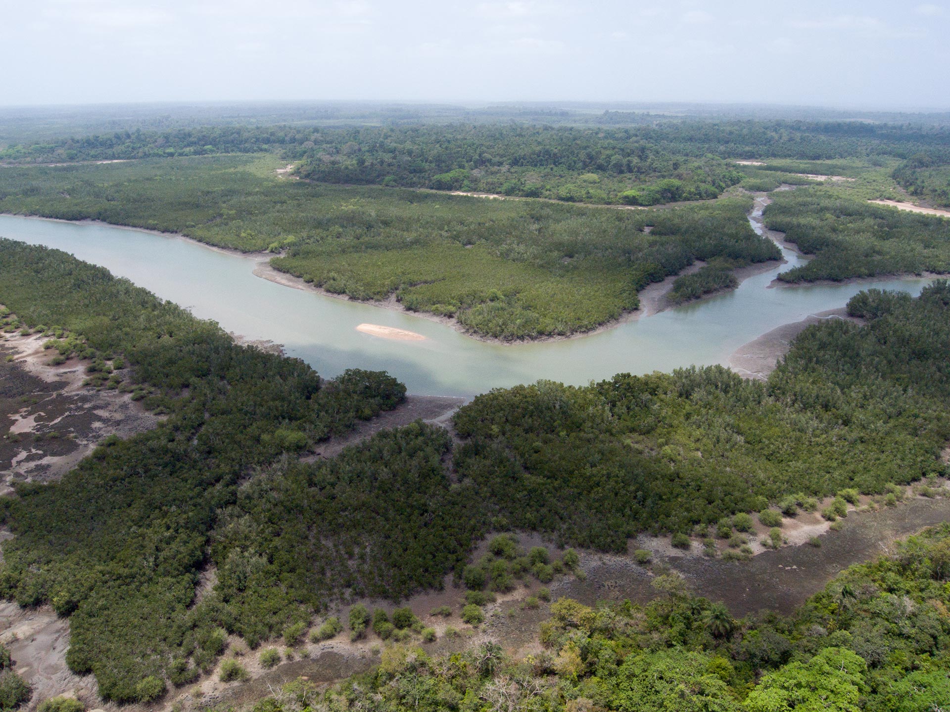 Cantanhez National Park - Bio Guinea